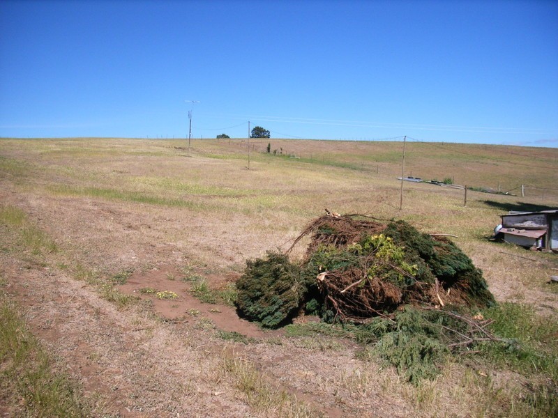 3247 Lyell Highway, Rosegarland TAS 7140