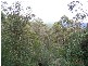 Mount Lloyd Road, Mount Lloyd TAS 7140