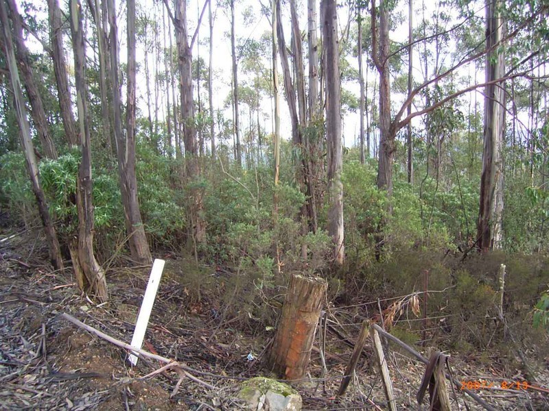 Mount Lloyd Road, Mount Lloyd TAS 7140