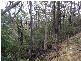 Mount Lloyd Road, Mount Lloyd TAS 7140