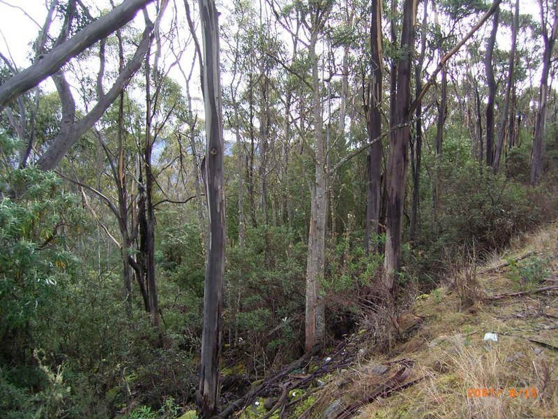 Mount Lloyd Road, Mount Lloyd TAS 7140