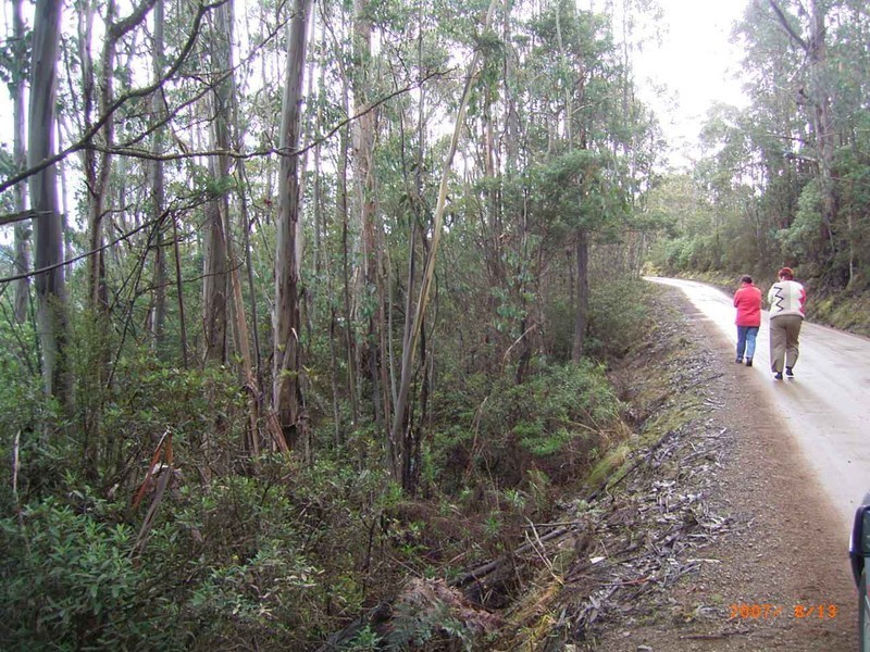 Mount Lloyd Road, Mount Lloyd TAS 7140