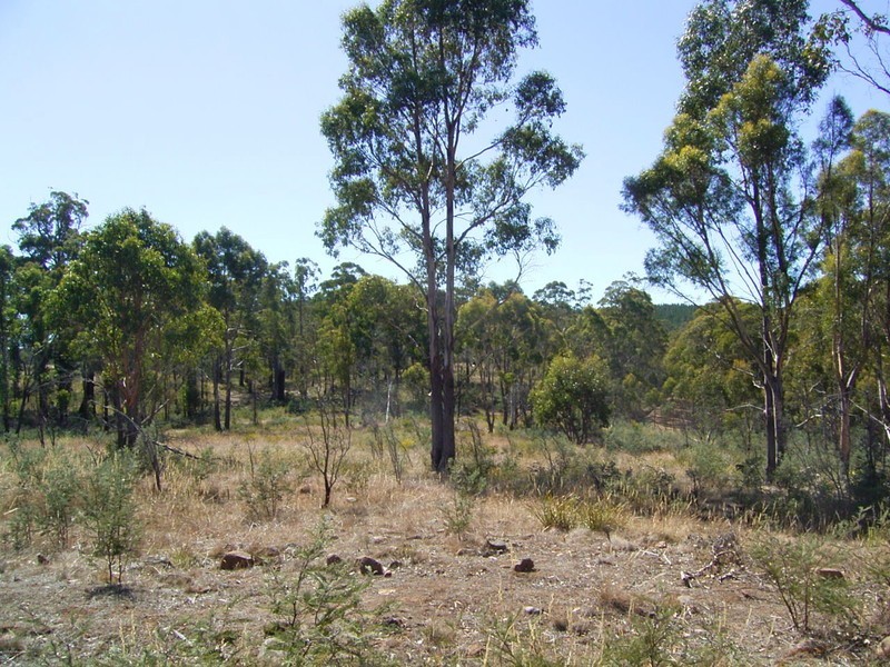 0 Uxbridge Road, Uxbridge TAS 7140