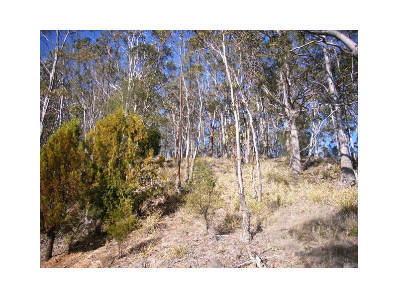 Black Hills TAS 7140