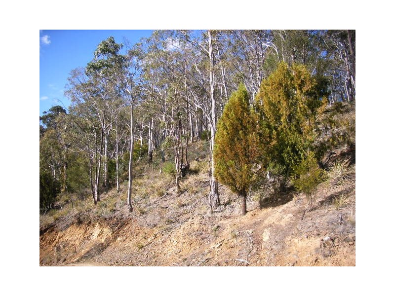 Black Hills TAS 7140