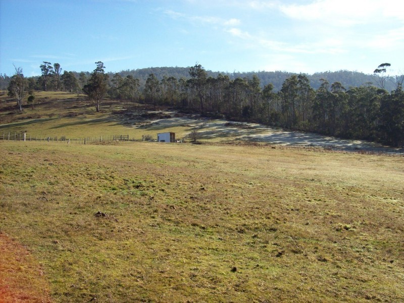 90 Lower Swamp Road, Lachlan TAS 7140