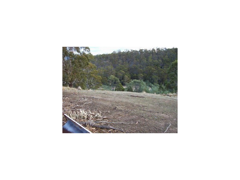 51 Richardsons Road, Black Hills TAS 7140