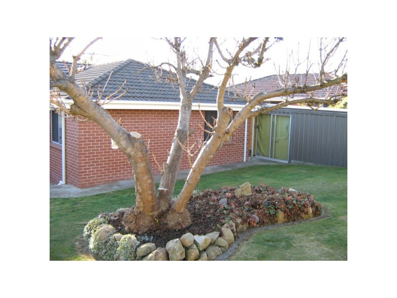 373 Back River Road, Magra TAS 7140