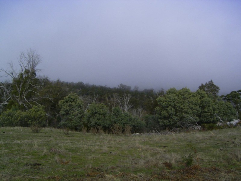 Parsons Road, Gretna TAS 7140