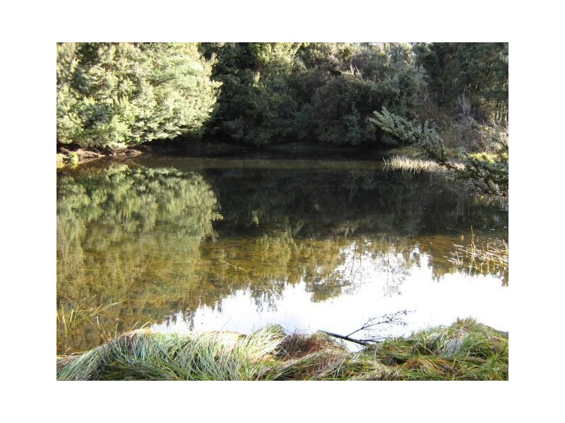 220 Crosswells Road, Mount Lloyd TAS 7140