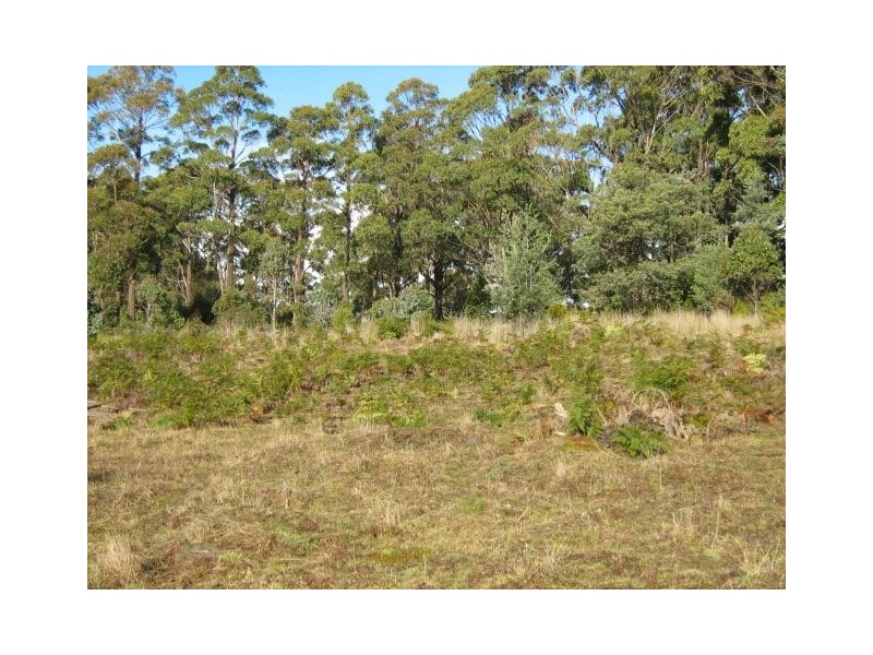 220 Crosswells Road, Mount Lloyd TAS 7140