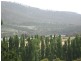 36 Molesworth Road, Sorell Creek TAS 7140