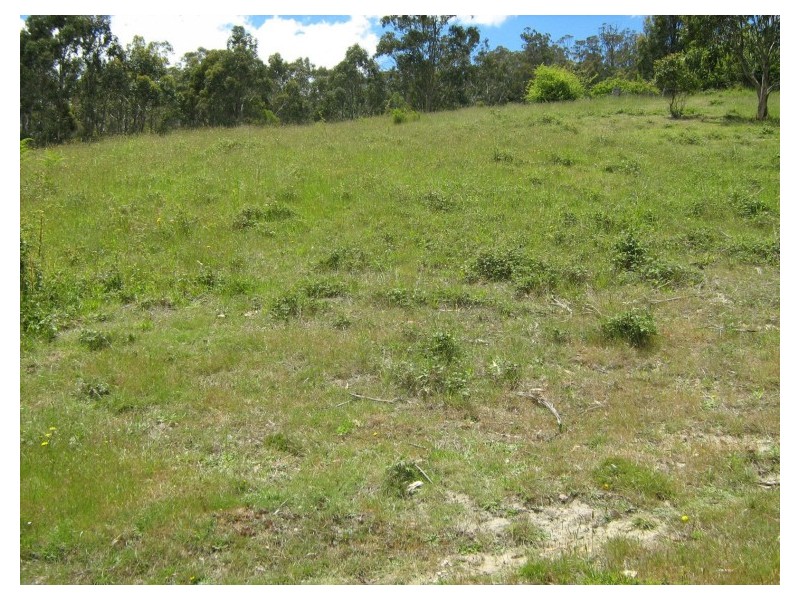 Lot 2 Hydehurst Road, Lachlan TAS 7140