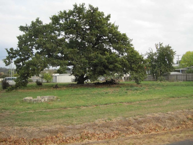 4 Water Street, Ouse TAS 7140