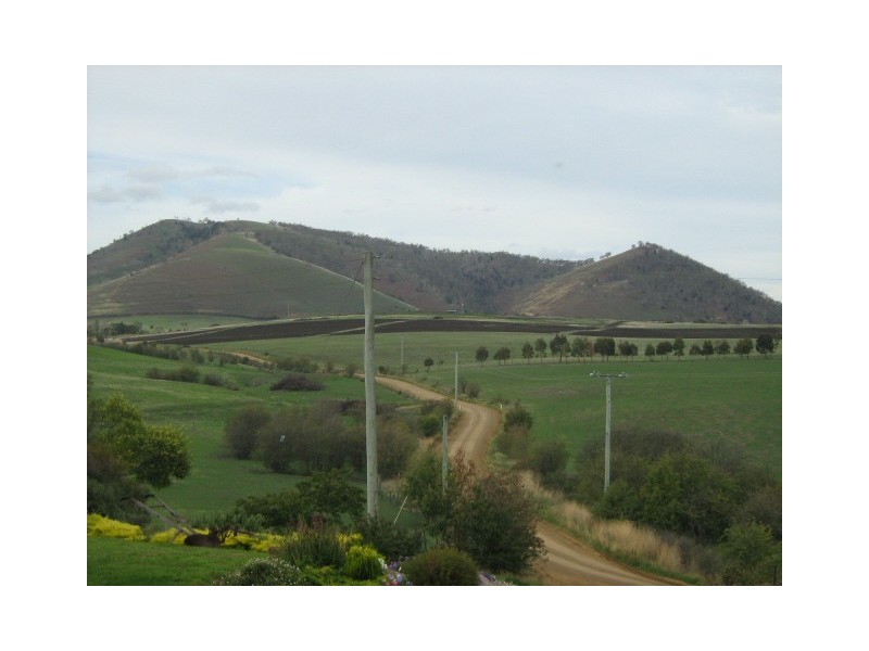 Rosegarland TAS 7140