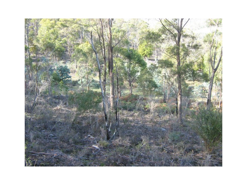 Lot 3 – 69 Douglas Road, Molesworth TAS 7140
