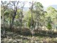 Lot 3 – 69 Douglas Road, Molesworth TAS 7140
