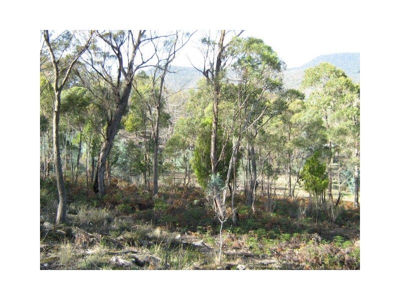 Lot 3 – 69 Douglas Road, Molesworth TAS 7140