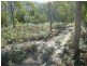 Lot 2  69 Douglas Road, Molesworth TAS 7140