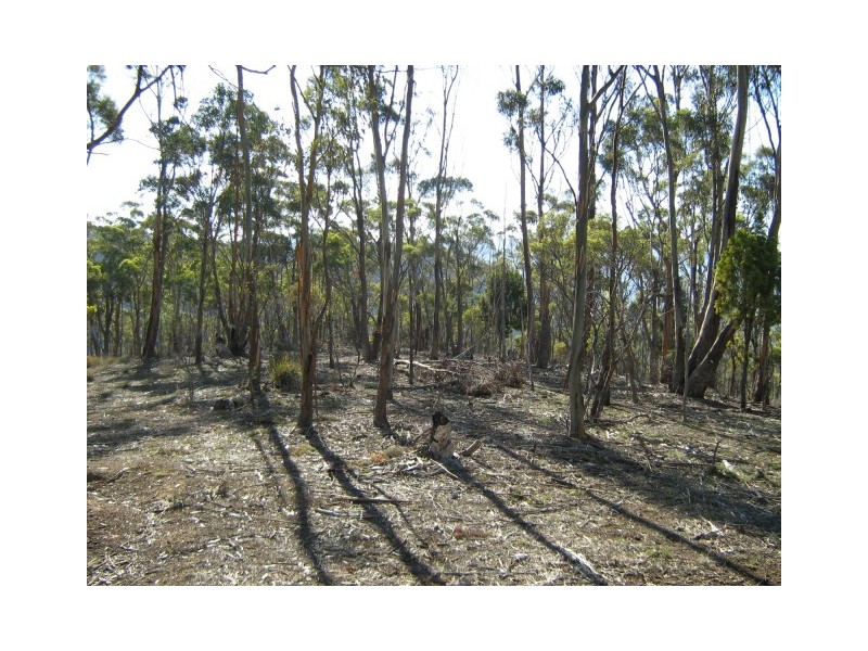 Lot 1 Tanglewood Road, Molesworth TAS 7140