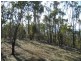 Lot 1 Tanglewood Road, Molesworth TAS 7140