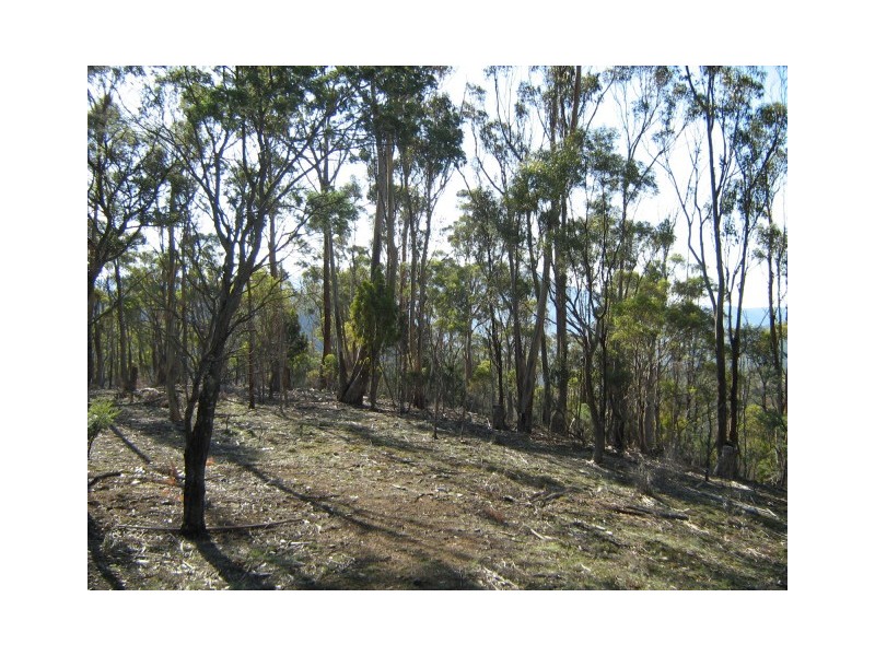 Lot 1 Tanglewood Road, Molesworth TAS 7140