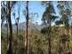 Lot 1 Tanglewood Road, Molesworth TAS 7140