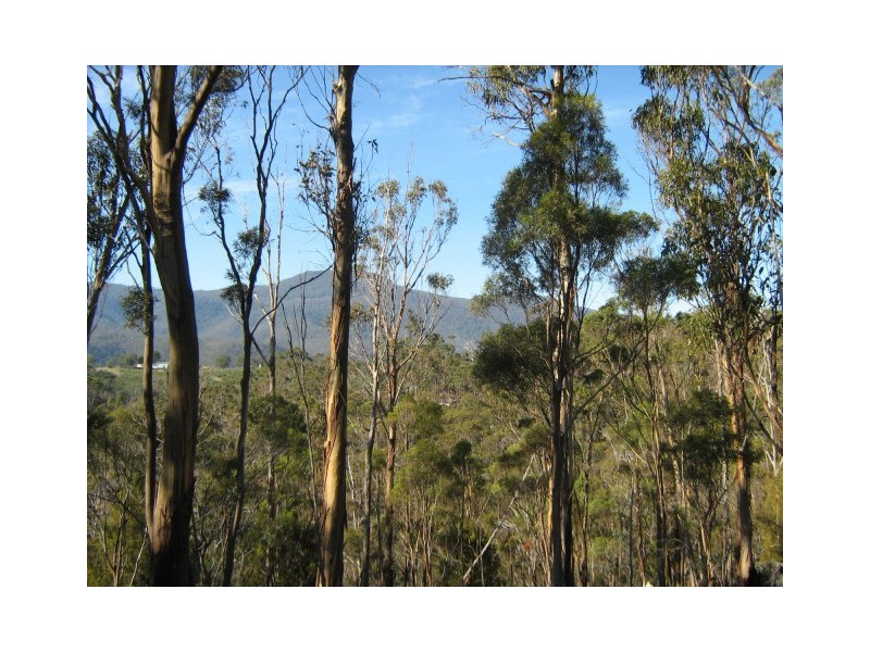 Lot 1 Tanglewood Road, Molesworth TAS 7140