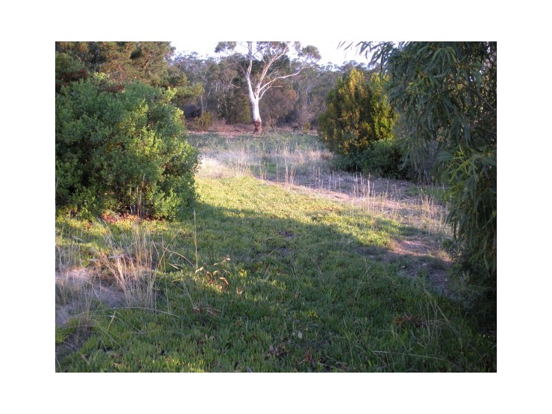 64 Sharland Avenue, New Norfolk TAS 7140