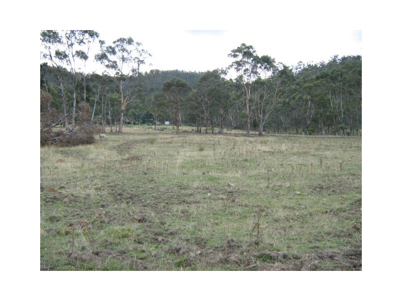 Lot 1 Mapley Road, Lachlan TAS 7140
