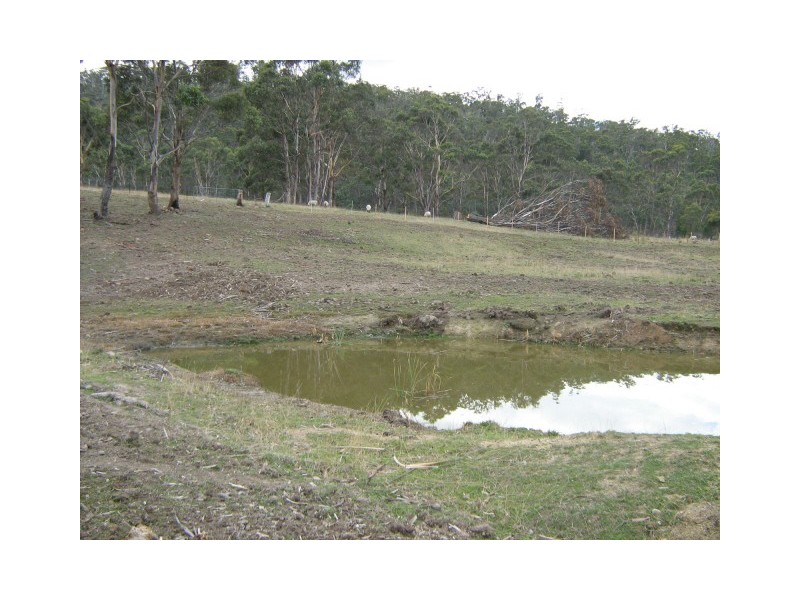 Lot 1 Mapley Road, Lachlan TAS 7140