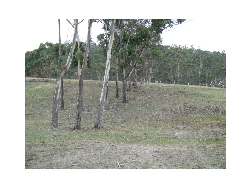 Lot 1 Mapley Road, Lachlan TAS 7140