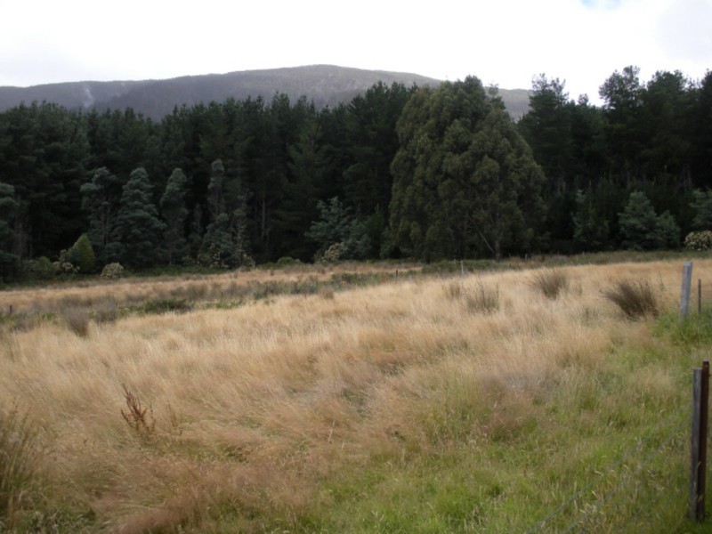 Gordon River Road, Fitzgerald TAS 7140