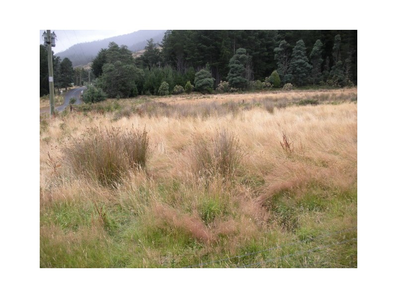 Gordon River Road, Fitzgerald TAS 7140