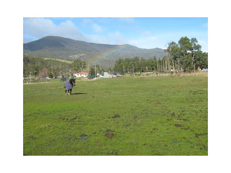 39 Lower Swamp Road, Lachlan TAS 7140