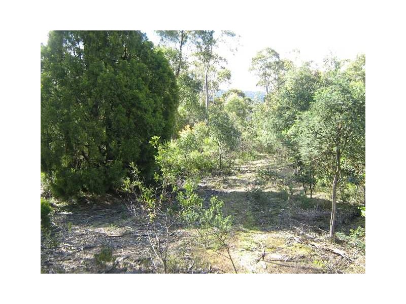 Lachlan TAS 7140