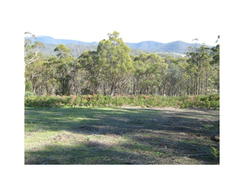 Molesworth TAS 7140