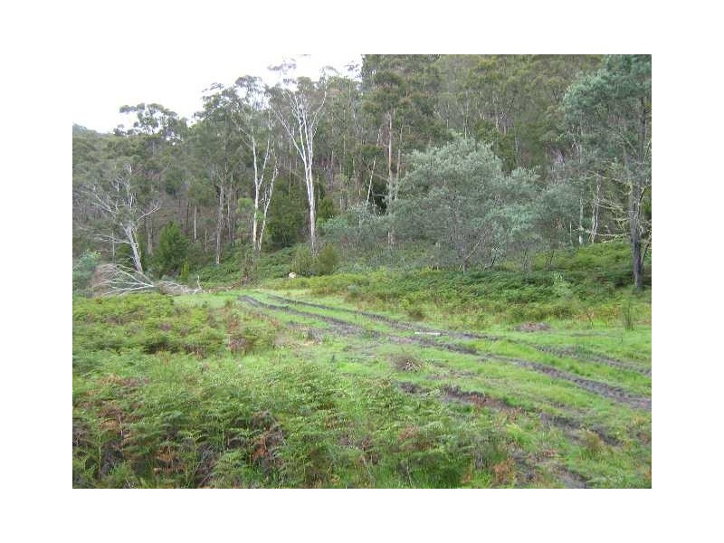 Molesworth TAS 7140