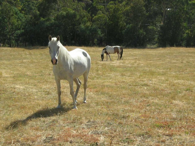 173 Church Road, Dromedary TAS 7030