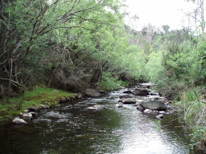 Molesworth TAS 7140
