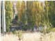 2925 Lyell Highway, Rosegarland TAS 7140