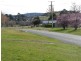 Bothwell TAS 7030