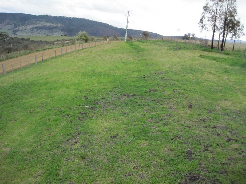 Rosegarland TAS 7140