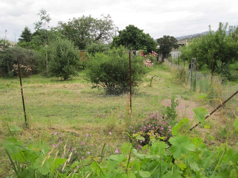 53 Burnett Street, New Norfolk TAS 7140