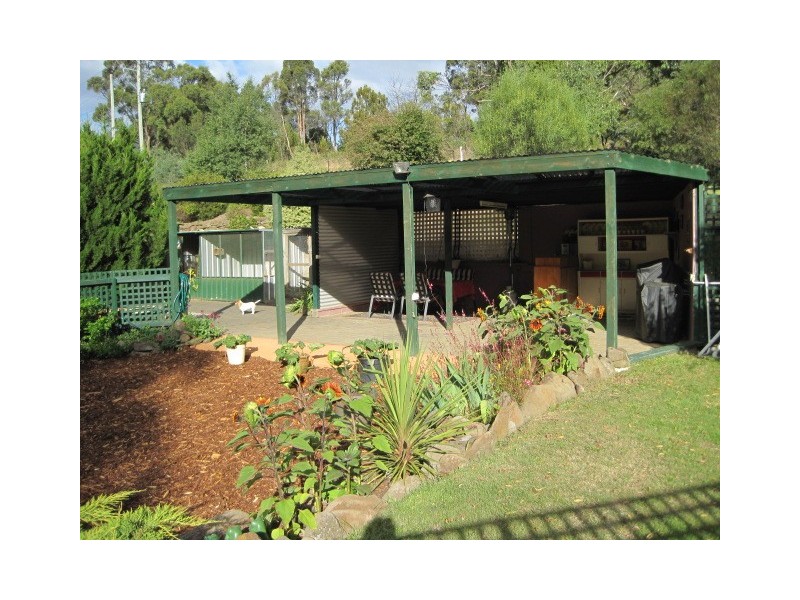 1165 Collins Cap Road, Molesworth TAS 7140
