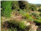 1165 Collins Cap Road, Molesworth TAS 7140
