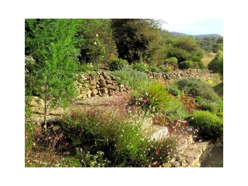 1165 Collins Cap Road, Molesworth TAS 7140