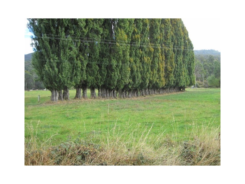 Lachlan TAS 7140