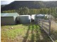 1250 Collins Cap Road, Molesworth TAS 7140