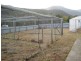 1250 Collins Cap Road, Molesworth TAS 7140